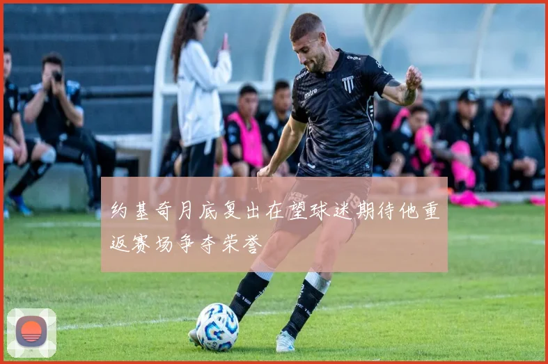 约基奇月底复出在望球迷期待他重返赛场争夺荣誉