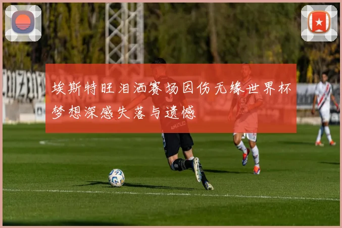 埃斯特旺泪洒赛场因伤无缘世界杯梦想深感失落与遗憾