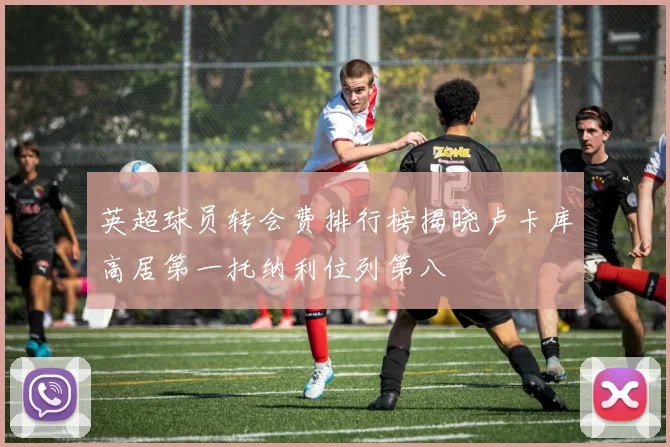 英超球员转会费排行榜揭晓卢卡库高居第一托纳利位列第八